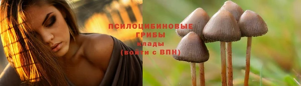 меф Лабытнанги