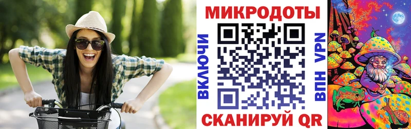 мега маркетплейс  darknet наркотические препараты  Магнитогорск  Галлюциногенные грибы мицелий  что такое наркотик 