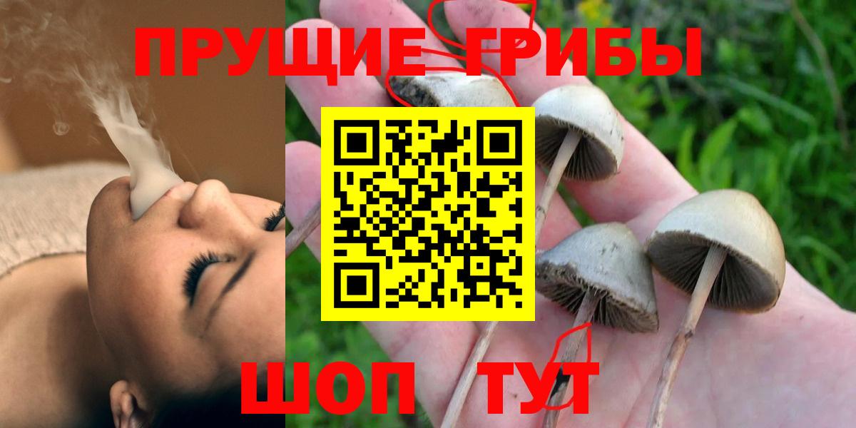 Галлюциногенные грибы ЛСД  Вход с VPN  Магнитогорск  Галлюциногенные грибы Psilocybe 